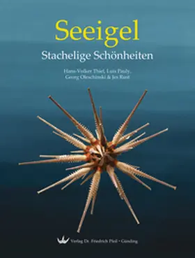 THIEL / Pauly / Oleschinski |  Seeigel - Stachelige Schönheiten | Buch |  Sack Fachmedien