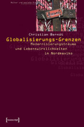 Berndt |  Globalisierungs-Grenzen | Buch |  Sack Fachmedien
