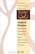 Arnason / Salvatore / Stauth |  Islam in Process | Buch |  Sack Fachmedien