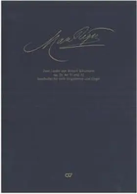 Popp |  Max Reger: Zwei Schumann-Lieder aus dem Zyklus "Zwölf Gedichte nach Justinus Kerner" op. 35 | Buch |  Sack Fachmedien