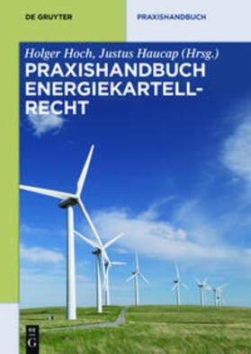 Hoch / Haucap | Praxishandbuch Energiekartellrecht | Buch | 978-3-89949-523-2 | sack.de