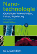 Wendorff / Scherzberg |  Nanotechnologie | Buch |  Sack Fachmedien