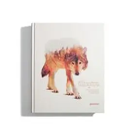 O'Reilly / Klanten / Ehmann |  Illusive 4 | Buch |  Sack Fachmedien