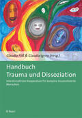 Fliß / Igney |  Handbuch Trauma und Dissoziation | Buch |  Sack Fachmedien