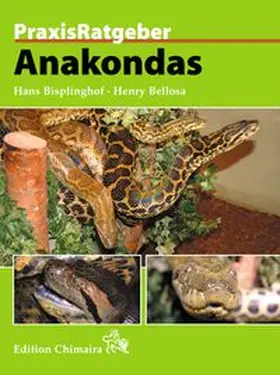Bisplinghof / Bellosa |  Anakondas | Buch |  Sack Fachmedien