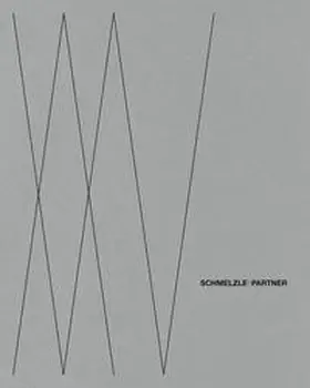 Schmelzle+Partner |  Schmelzle+Partner | Buch |  Sack Fachmedien