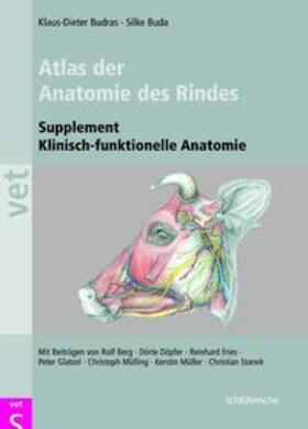 Budras / Buda | Atlas der Anatomie des Rindes, Supplement | Buch | 978-3-89993-023-8 | sack.de