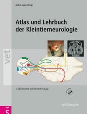 Jaggy | Atlas u. Lehrbuch d. Kleintierneurologie | Buch | 978-3-89993-035-1 | sack.de