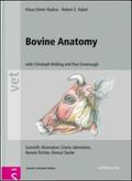 Budras / Habel / Mülling |  Bovine Anatomy | Buch |  Sack Fachmedien