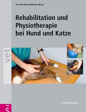 Challande-Kathmann | Rehabilitation und Physiotherapie bei Hund und Katze | Buch | 978-3-89993-053-5 | sack.de