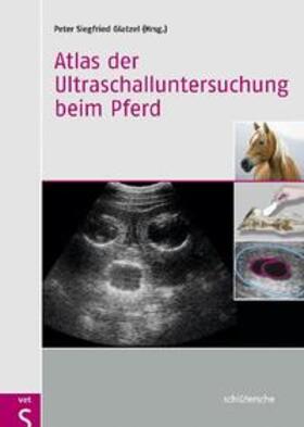 Glatzel | Atlas der Ultraschalluntersuchung beim Pferd | Buch | 978-3-89993-059-7 | sack.de