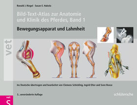 Riegel / Hakola | Bild-Text-Atlas zur Anatomie und Klinik des Pferdes | Buch | sack.de