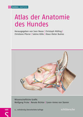 Reese / Kölle / Mülling |  Atlas der Anatomie des Hundes | Buch |  Sack Fachmedien