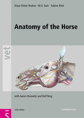 Budras / Sack / Röck | Anatomy of the Horse | Buch | 978-3-89993-666-7 | sack.de