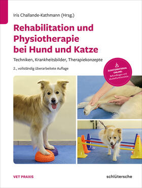 Challande-Kathmann / Forterre / Herzog | Rehabilitation und Physiotherapie bei Hund und Katze | Buch | 978-3-89993-696-4 | sack.de