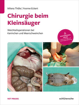 Thöle / Eckert | Chirurgie beim Kleinsäuger | Buch | 978-3-89993-979-8 | sack.de