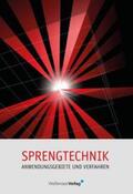 Heinze |  SPRENGTECHNIK | Buch |  Sack Fachmedien