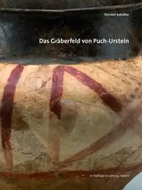 Rabsilber |  Das Gräberfeld von Puch-Urstein | Buch |  Sack Fachmedien