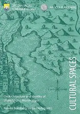 Bornberg / Herbig |  Cultural Spaces | Buch |  Sack Fachmedien