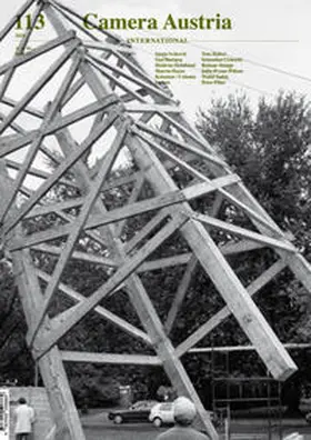 Braun |  Camera Austria 113 / 2011 | Buch |  Sack Fachmedien