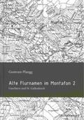 Plangg / Kasper |  Alte Montafoner Flurnamen 2: Gaschurn und St. Gallenkirch | Buch |  Sack Fachmedien