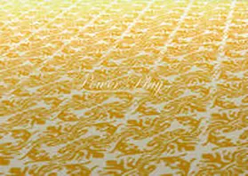  Karina Nimmerfall – Power play | Buch |  Sack Fachmedien