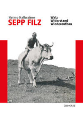 Halbrainer |  Sepp Filz | Buch |  Sack Fachmedien
