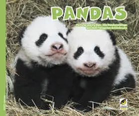  Pandas | Buch |  Sack Fachmedien