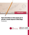 Matzler |  Open Innovation: Le linee giuda per le piccole e medie imprese in Alto Adige | Buch |  Sack Fachmedien
