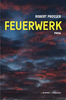Prosser |  Feuerwerk | Buch |  Sack Fachmedien