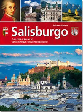 Helminger |  Salisburgo | Buch |  Sack Fachmedien