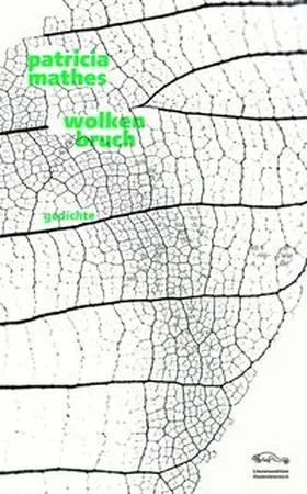 Mathes |  wolkenbruch | Buch |  Sack Fachmedien