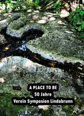 Friesinger |  A Place to be | Buch |  Sack Fachmedien