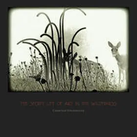 Strassegger / Fiala / Friesinger |  The Secret Life Of Art In The Wilderness | Buch |  Sack Fachmedien