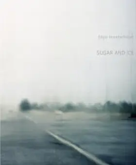 Honetschläger |  Sugar and ice | Buch |  Sack Fachmedien