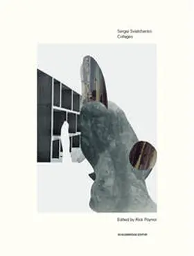 Poynor |  Sergei Sviatchenko | Buch |  Sack Fachmedien