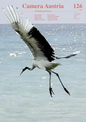 Braun / Camera Austria - Labor für Fotografie und Theorie |  Camera Austria International 126/2014 | Buch |  Sack Fachmedien