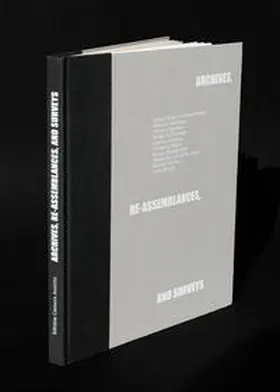 Braun |  Archives, Re-Assemblances and Surveys | Buch |  Sack Fachmedien
