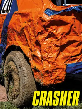 Perndl / Haas |  Crasher | Buch |  Sack Fachmedien