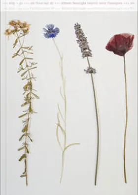 Gehrmann / Hauenfels / Kristof |  Alfredo Barsuglia | Buch |  Sack Fachmedien