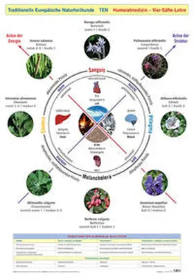 Garvelmann / Raimann / Wirth |  Wandtafel Traditionelle Europäische Naturheilkunde TEN | Sonstiges |  Sack Fachmedien