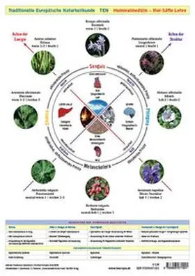Garvelmann / Raimann / Wirth |  Wandtafel Traditionelle Europäische Naturheilkunde TEN A4 | Sonstiges |  Sack Fachmedien