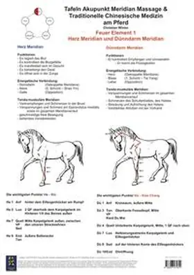 Winter |  Feuer Element 1. Herz und Dünndarm Meridian. | Sonstiges |  Sack Fachmedien