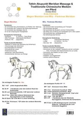 Winter |  Erde Element. Magen und Milz-Pankreas Meridian | Sonstiges |  Sack Fachmedien