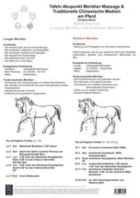 Winter |  Metall Element. Lungen und Dickdarm Meridian. | Sonstiges |  Sack Fachmedien