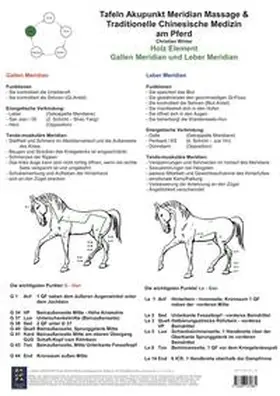 Winter |  Holz Element. Gallen und Leber Meridian. | Sonstiges |  Sack Fachmedien