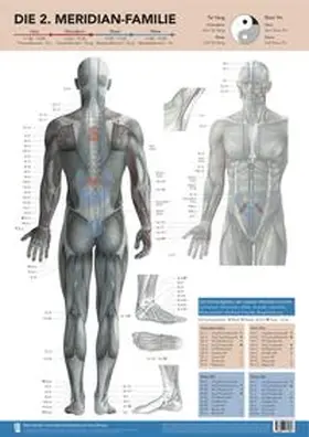 Mandl |  Die 2. Meridian-Familie von Mike Mandl | Sonstiges |  Sack Fachmedien