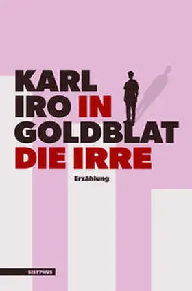Goldblat |  In die Irre | Buch |  Sack Fachmedien