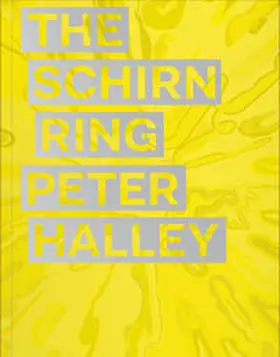 Hollein |  Peter Halley | Buch |  Sack Fachmedien