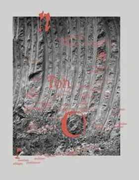 Institut für Kunst und Gestaltung – Dreidimensionales Gestalten und Modellbau. Fakultät für Architektur und Raumplanung, Technische Universität Wien / Auer |  TonTonTon | Buch |  Sack Fachmedien